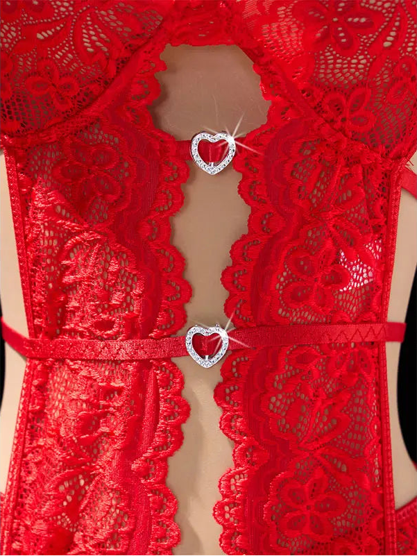Embroidered Lace Bra & Panty Set with Stockings